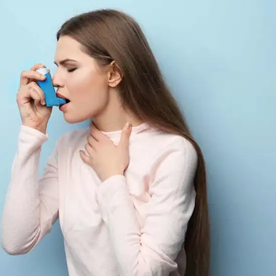 allergy panel asthma / rhinitis screening panel adult